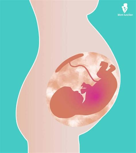 Amniotic Fluid Leak: Complete Guide To Signs, Causes, Treatment