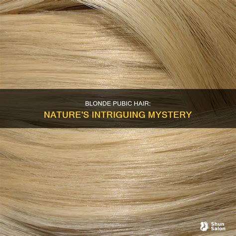 Blonde Pubic Hair: Nature's Intriguing Mystery | ShunSalon