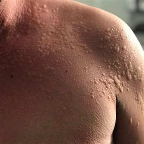 OLIVE GARDEN, Irving - Menu, Prices & Restaurant Reviews - Tripadvisor