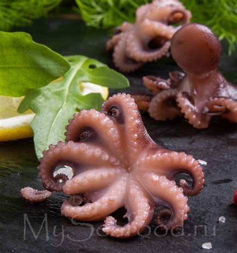 МИНИ ОСЬМИНОГИ купить в магазине Myseafood.ru