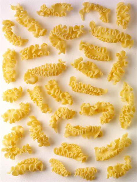 Types Of Pasta Curly