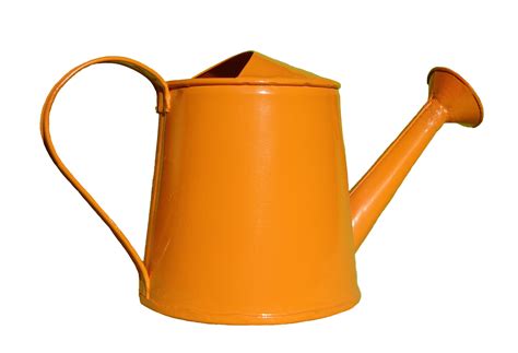 Watering can illustration clipart - WikiClipArt