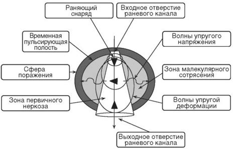 Рис. 19. Физико-математическая модель формирования огнестрельного ране-