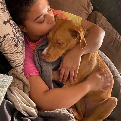 Foster — Lake Norman Animal Shelter