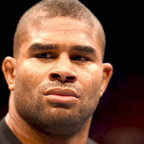 [100+] Alistair Overeem Wallpapers | Wallpapers.com