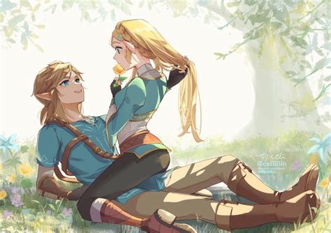 link and princess zelda (the legend of zelda and 1 more) drawn by seri ...