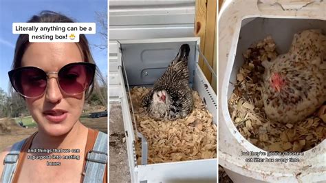 The Cheapest Way To York A Chicken Without Breaking The Bank