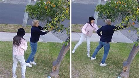 Is it time for me to become a lemon-stealing whore? : r/funny