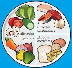 Vea los detalles de la imagen relacionada. Cómo se Clasifican los Alimentos según su Función para Niños con ...