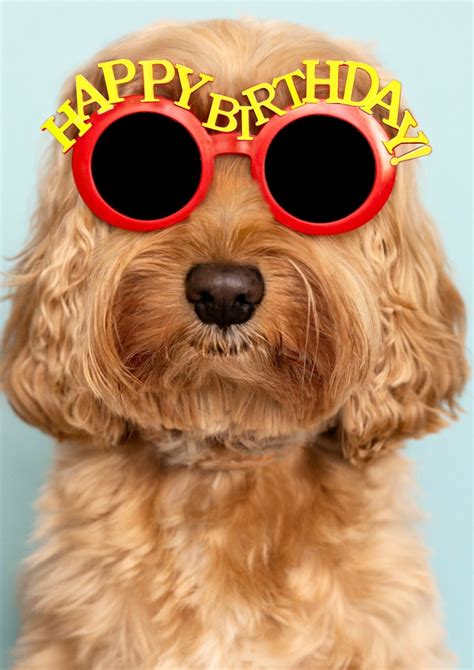 Funny Happy Birthday Dog with Sunglasses