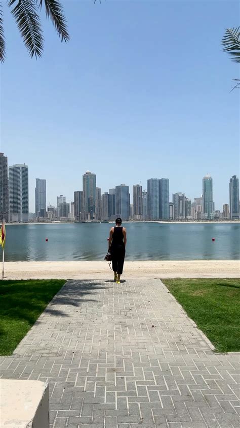 Horse+Cums+In+Girl+Mouth Videos, Download The BEST Free 4k Stock Video ...