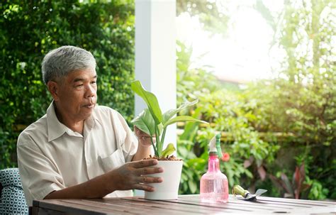 A happy and smiling Asian old elderly man is planting for a hobby after ...