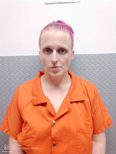 KELLY NICOLE 06/20/2024 - Hart County Mugshots Zone