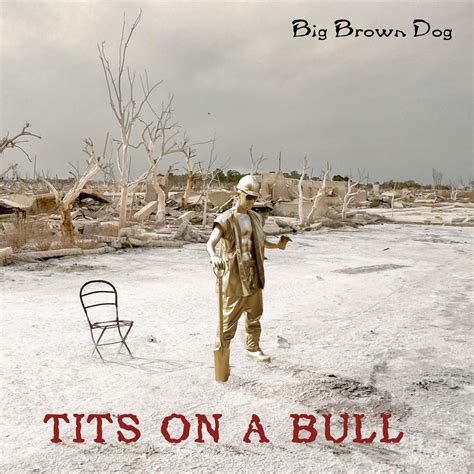 Big Brown Dog - Tits On A Bull : r/fakealbumcovers