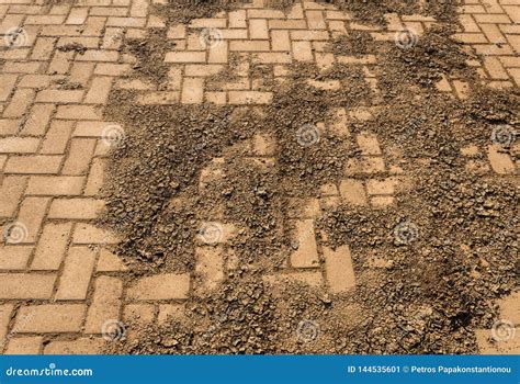 Tiles Floor Mud at Lois Lindsey blog