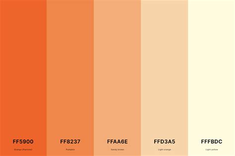 25+ Best Orange Color Palettes with Names and Hex Codes ...