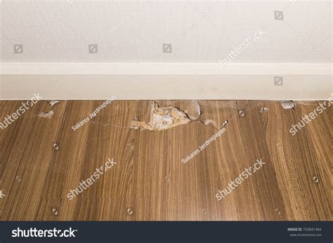 Termite Damage Laminate Floor Stock Photo 733841404 | Shutterstock