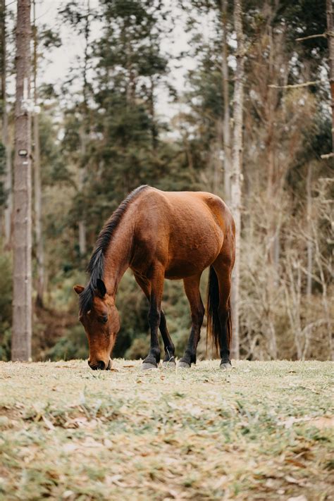 Naked+Anime+Girls+Wallpapers+For+Pc Photos, Download The BEST Free ...