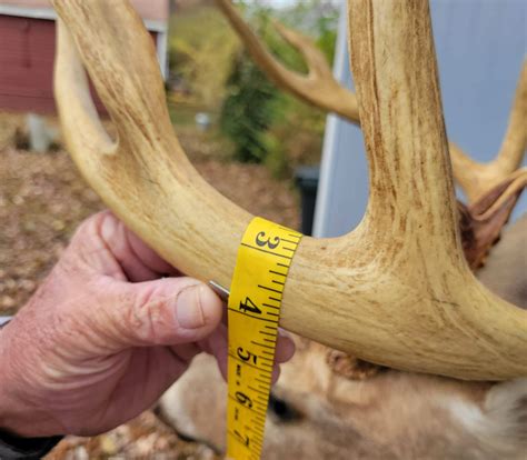 Size Matters: How to Score a Buck