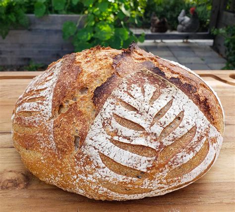 Why Sourdough is Healthier Than Other Bread (& Has Less Gluten) ~ Homestead and Chill