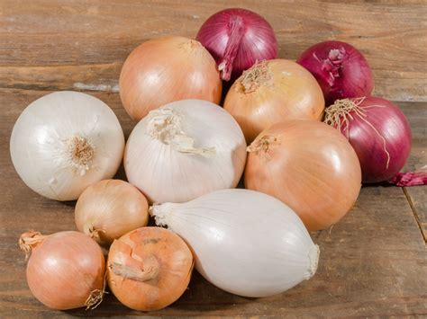 Exploring the different varieties and flavours of onions - M&P Engineering
