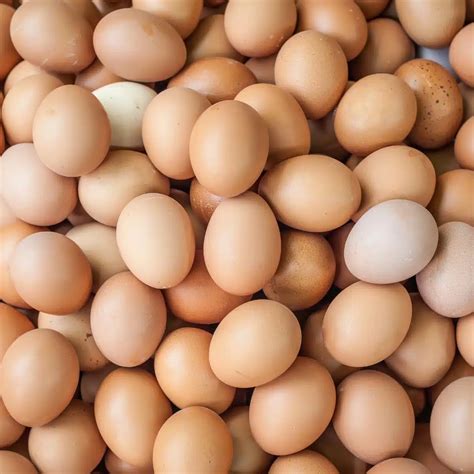 Egg Calories And Nutrition: An In-Depth Nutritional Guide