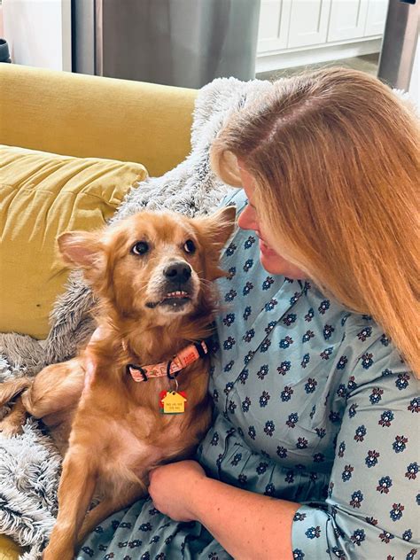 Past Adoptions Archive - Page 2 of 14 - Adopt a Golden Birmingham