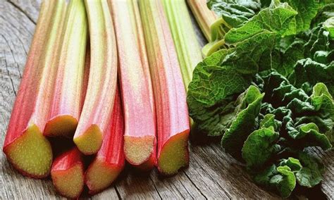 Что такое ревень: фото, как выглядит, овощ или фрукт, как использовать ...