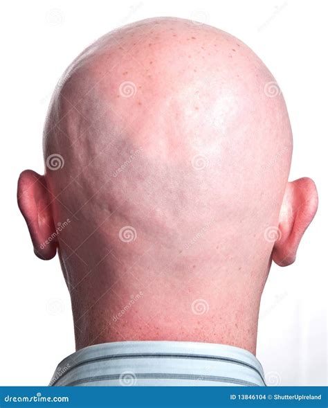 Close Up Male Shaved Bald Head Stock Photo - Image of posing ...