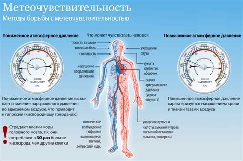 Болит голова на погоду: почему перед дождем, что делать, лечение ...