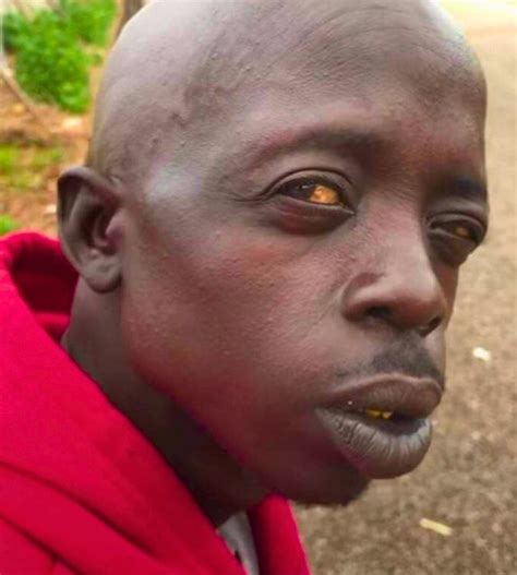 Goofy Ahh Pictures: A Deep Dive into Internet Humor and Absurdity ...