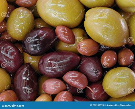 Olives Different Colors at Ian Stewart blog