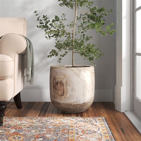 Extra Large Indoor Plant Pots: Elevate Your Decor!
