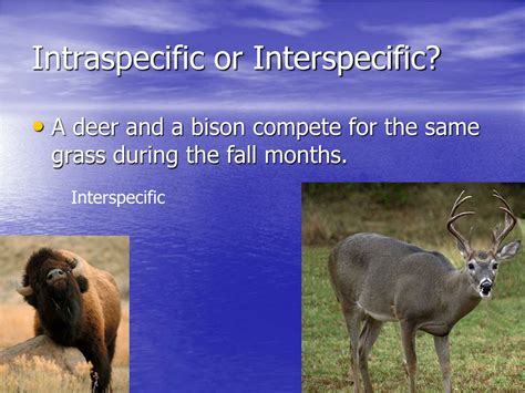 PPT - Exploring Coevolution, Symbiosis, and Relationship Dynamics in ...