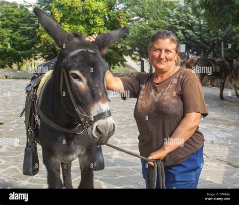 woman with donkey, female donkey keeper italy Stock Photo - Alamy