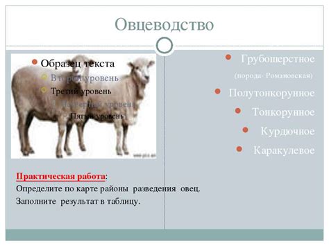Презентация "Земледелие и животноводство России" - скачать бесплатно