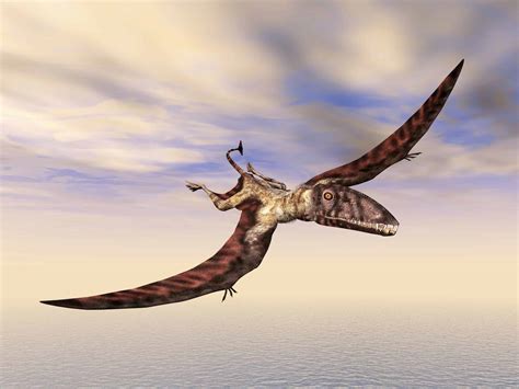 'Flying Dinosaurs': 7 Amazing Pterosaurs that Ruled the Sky