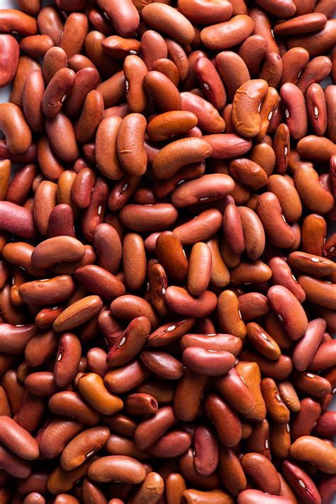 How to Cook Dried Beans on the Stove - The New Baguette