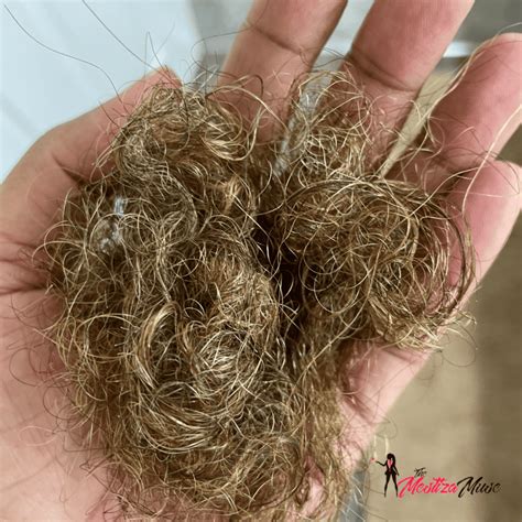 Understanding The Link Between Mold Exposure And Hair Health: My ...