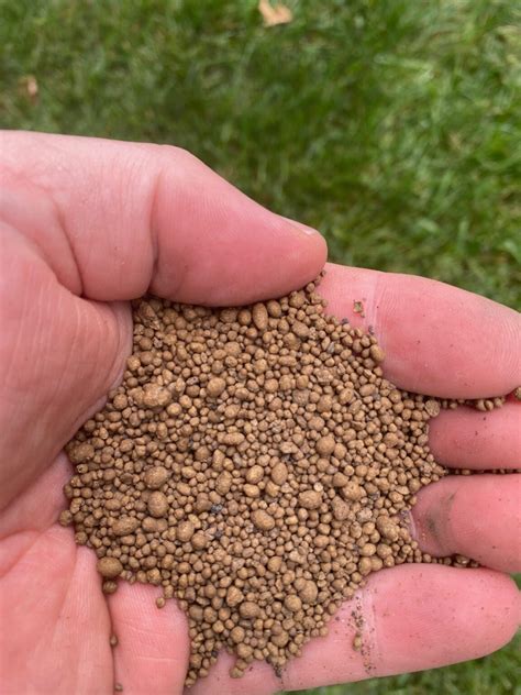 Calcitic Lime Vs Dolomite Lime (Limestone Differences And Similarities ...