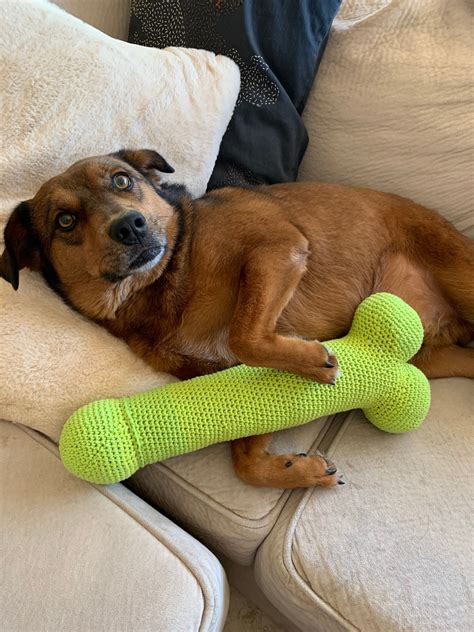 Giant Penis Dog Toy XT LONG, Penis Pillow, Plush Penis, Crochet Penis ...