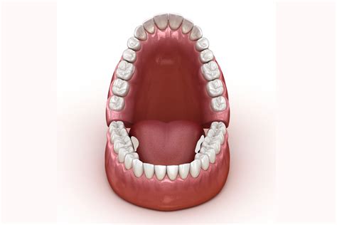 What in the World Are Tori? Our Calgary Dentist Explains. - Advance Your Health Dental - Dr ...