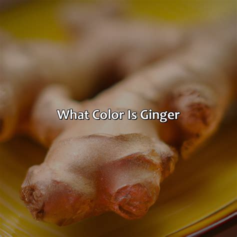 What Color Represents Intelligence - colorscombo.com