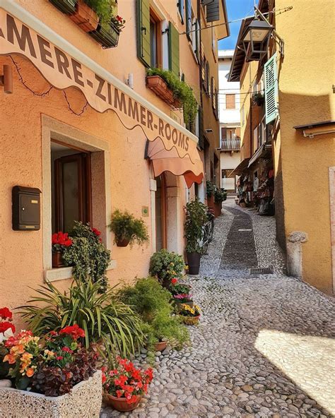 11 Low-Light Outdoor Plants That Are Impossible to Kill