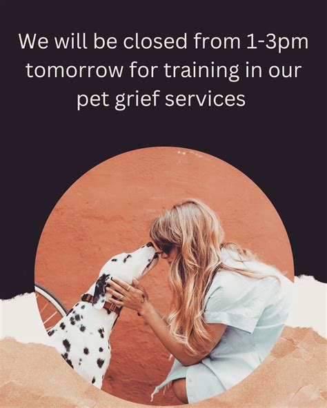 White Rock Veterinary Hospital (@whiterockveterinaryhospital ...