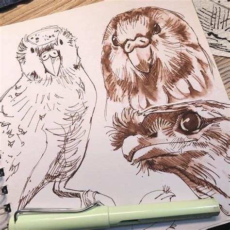Ink wash drawings w/ Diamine chocolate brown : r/fountainpens