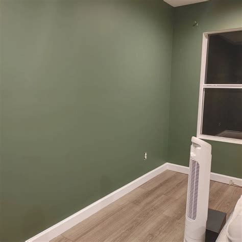 Sherwin Williams SW 6194 Basil с примерами фото - Просто Ремонт