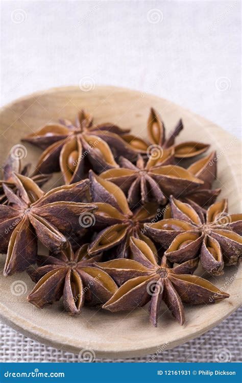 Star Anise Pods stock image. Image of fruit, cooking - 12161931