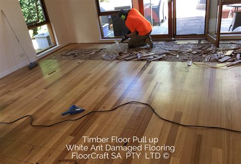 Floating Timber Floors Adelaide Hills | Viewfloor.co