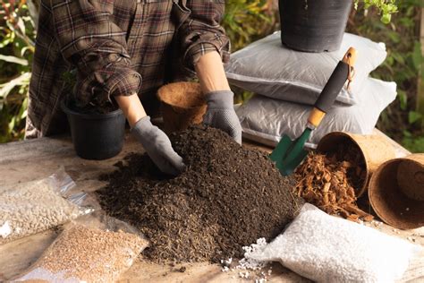 What Is Potting Soil?